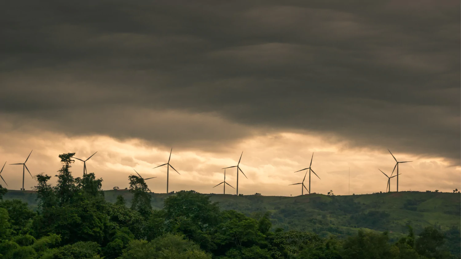 Rain Really Does to Air Quality