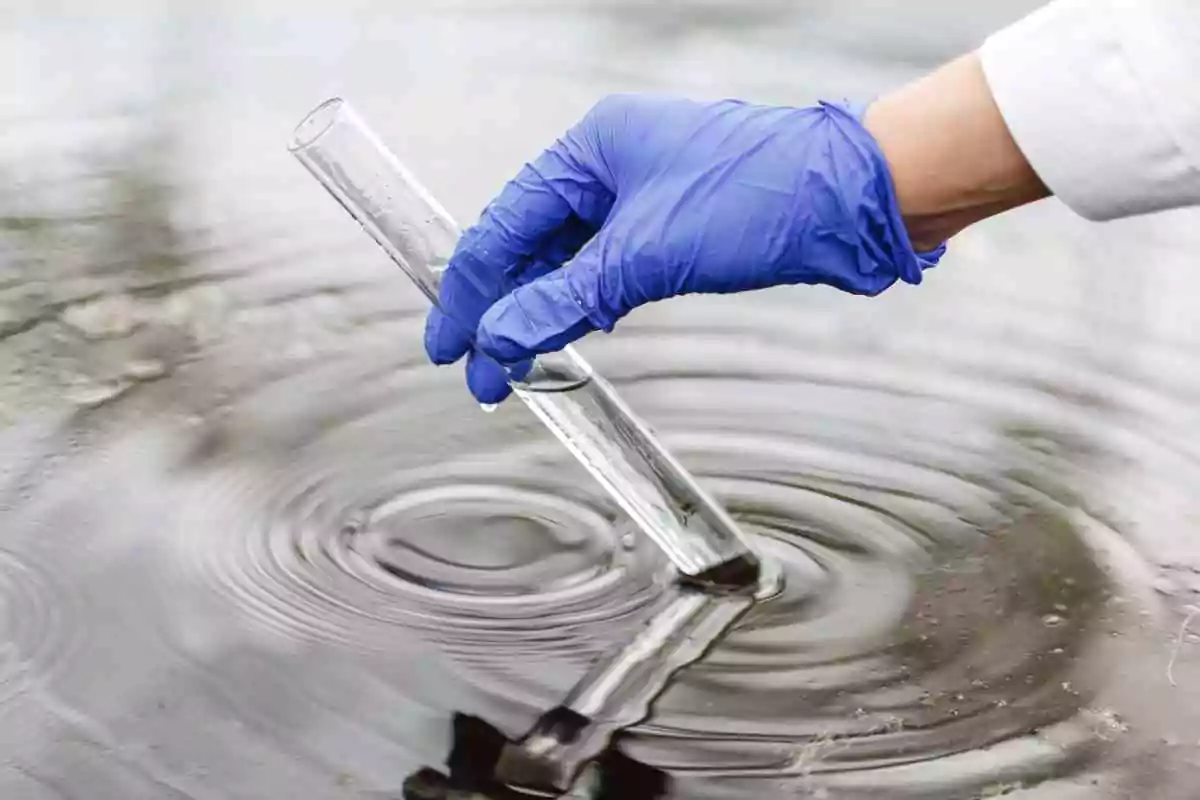 edible oil testing